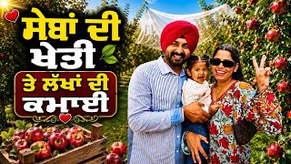 ਹਿਮਾਚਲ ਵਿੱਚ ਸੇਬਾਂ ਦੀ ਖੇਤੀ Appale Farming | Punjabi Travel Couple | Ripan Khushi