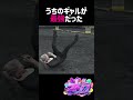 【ストグラ】ズズvsギャル【GTA5】#shorts
