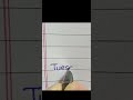 Tuesday name beautiful handwriting in English||#shorts