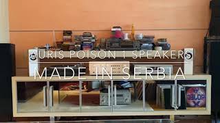 AURIS Poison 1 speakers (Made in Serbia) + Accuphase E 301 amplifier + Pioneer DV 989 AVi dvd player