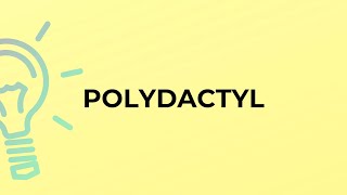 What is the meaning of the word POLYDACTYL?
