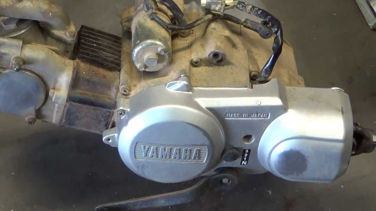 Yamaha Badger 80 And Yamaha Raptor 80 Motor Comparison Youtube