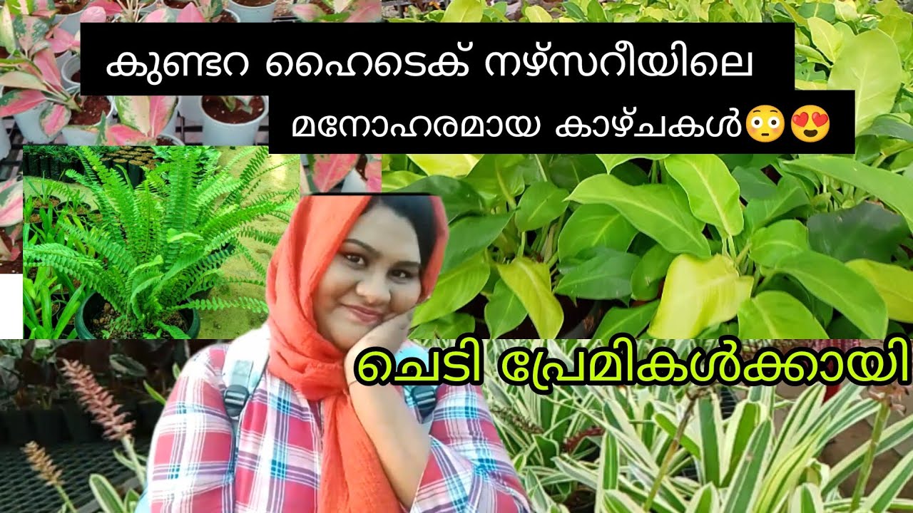 ചെടി പ്രേമികൾ തീർച്ചയായും കാണുക😳🌿😍......|| HITECH NURSERY KUNDARA ||