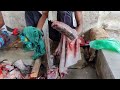 How To Cut Hilsa Fish ilish Fish Cutting 2023 | Live In Fish Market