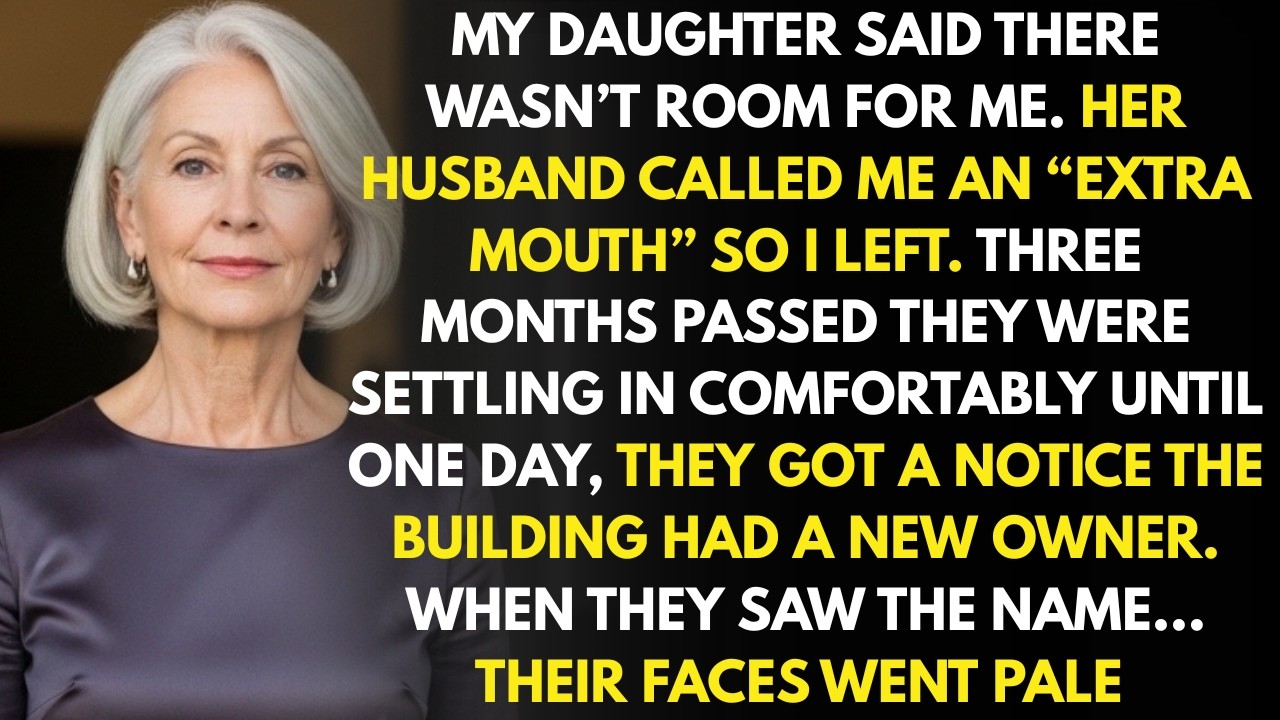 She Called Me an “Extra Mouth” — I Made One Quiet Investment