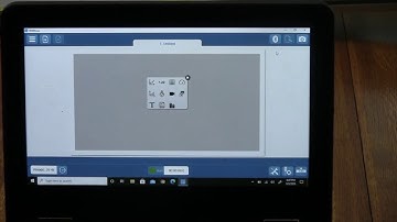 Physics 01.1 Intro to Sparkvue