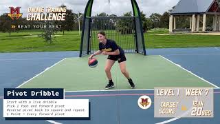 Level 1 - Pivot Dribble