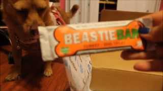 August 2015 Barkbox unboxing