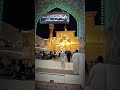 لولا علي إبن أبي طالب عليه السلام   نجف شيعة علي 