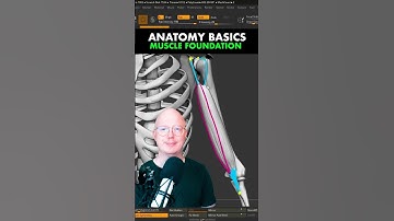Learn one of the core fundamentals when it comes to muscles and anatomy #3dart #art #zbrush