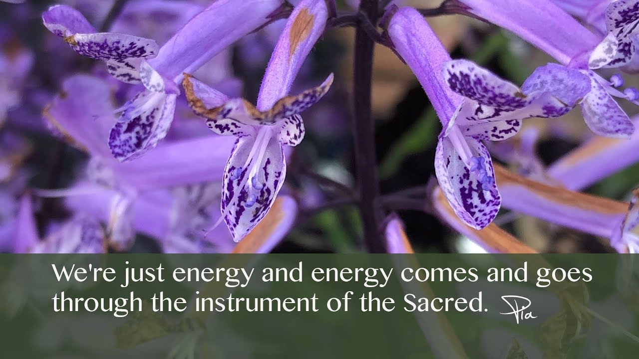 We're just energy. - Meeting with Pia