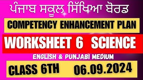 Class 6 SCIENCE Worksheet 6 solution 06.09.2024 english and punjabi medium