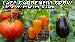 The Lazy Gardener’s Top Vegetables to Grow in 2026 🥕🥦