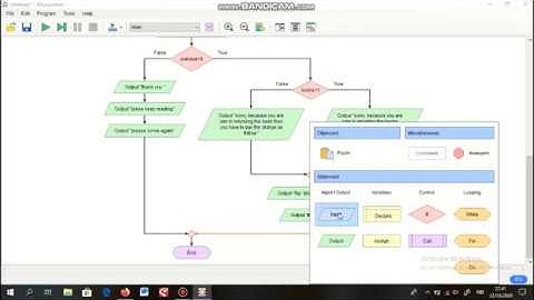 Computer Programming 1| Conditional selection using Flowgorithm |