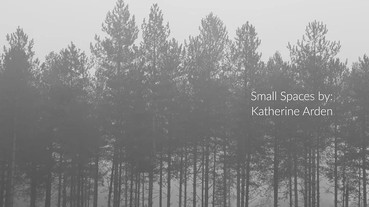 Small Spaces Book Trailer (v.2)