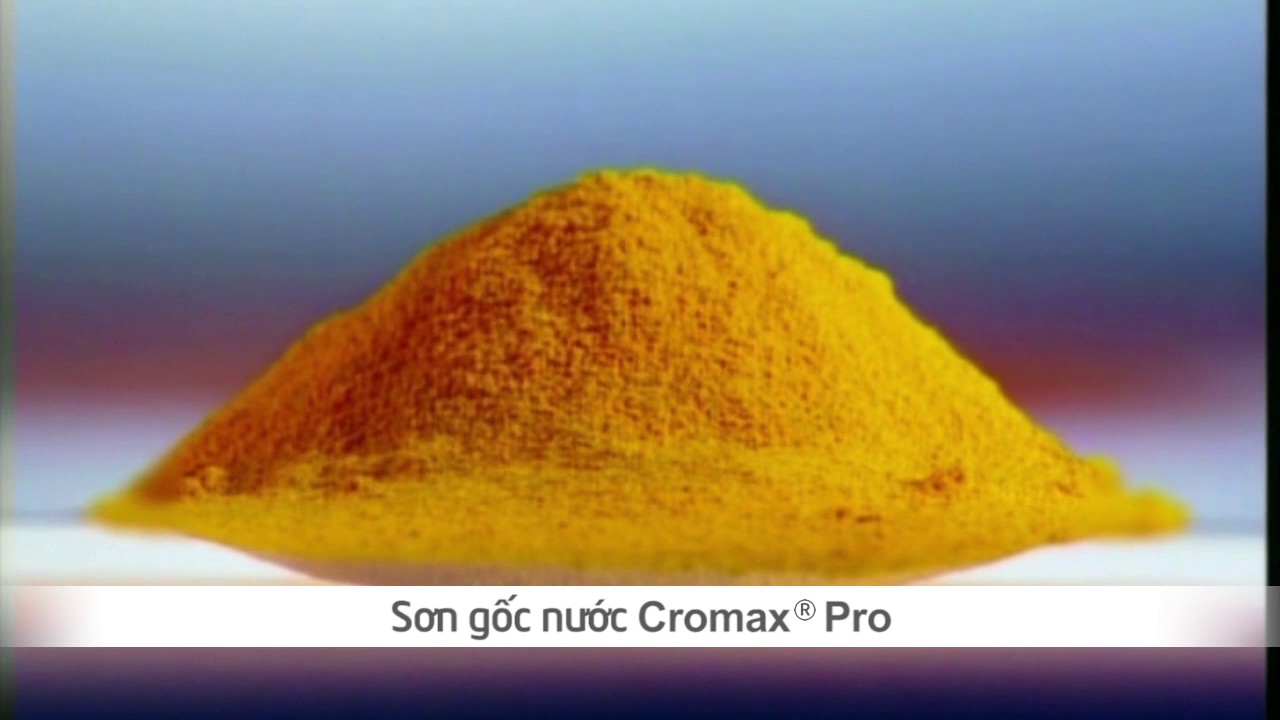 MASTER Subtitle CROMAX PRO VIDEO