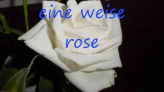 Miniatura de vídeo de "kastelruther spatzen eine weise rose"
