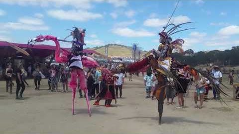 Lightning in a Bottle 2017