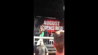 August Burns Red- Provision (Live)