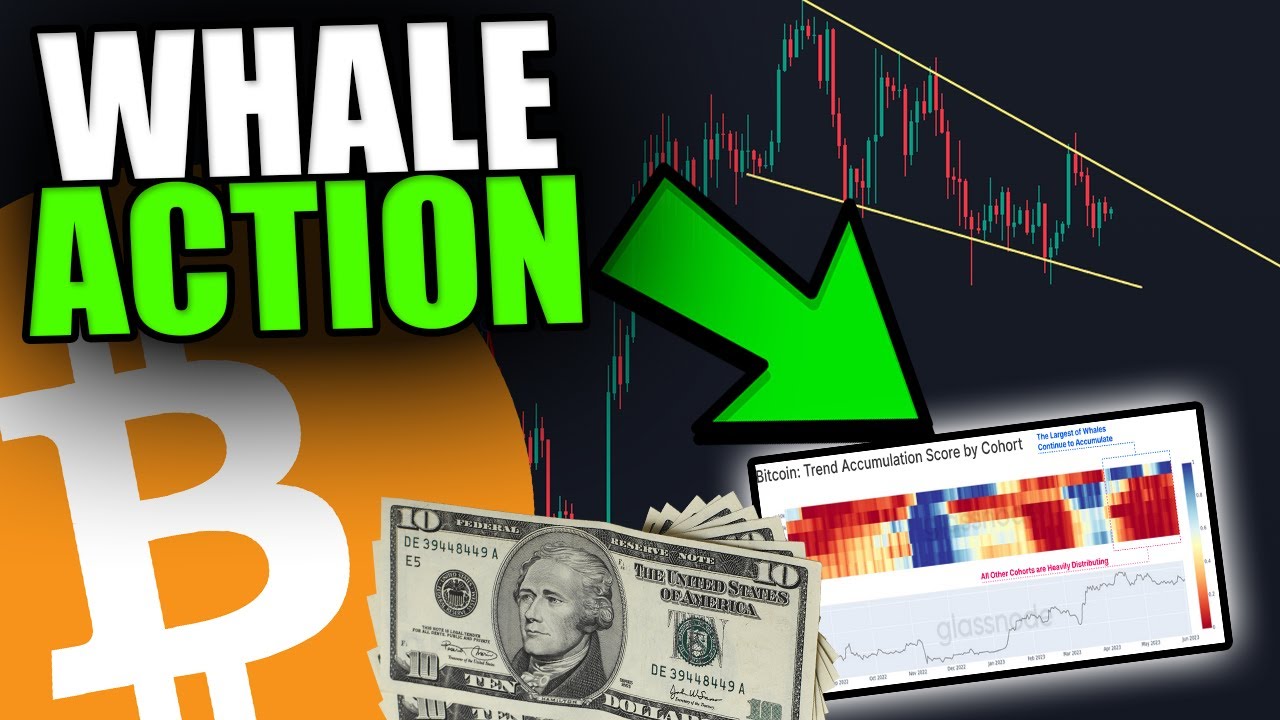 THESE BITCOIN WHALES ARE PREPARING FOR THIS BIG MOVE