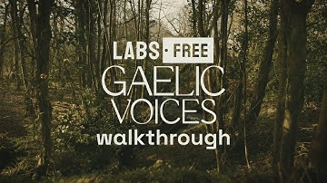Walkthrough: LABS Gaelic Voices — FREE Choir VST