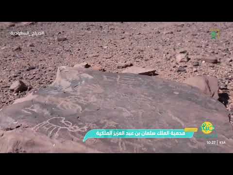 محمية الملك سلمان بن عبدالعزيز الملكية الأكبر في المملكة من المحميات الملكية