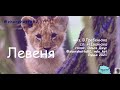 Левеня Муз В Гребенюка сл Н Іванюка Мистецтво НУШ 2 клас Левеня Муз В Гребенюка сл Н Іванюка Мистецтво НУШ 2 клас