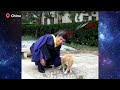 Engineer to Astronaut: Wu Fei on Little-Known Story Behind Shenzhou-20's Safe Return