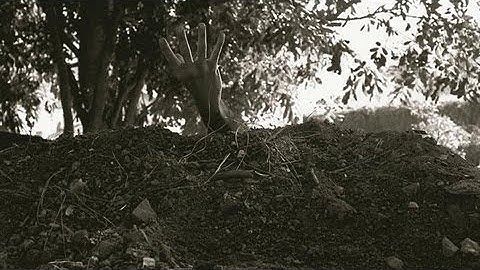 Zombie Pandemic | Zombie Apocalypse