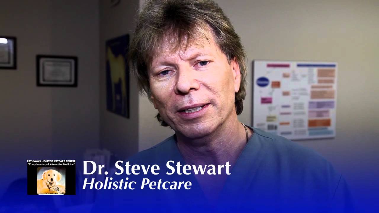 Pathways Holistic Pet Care Promo Video YouTube