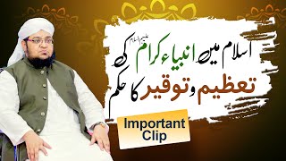 islam Mian Ambiya Ki Tazeem O Toqeer Ka Hukam | Namoos e ambiya | important clip |Mufti Qasim Attari screenshot 4