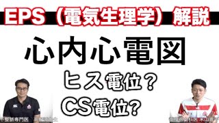 心内心電図の読み方　EPS（電気生理学的検査）ヒス電位　心房電位　右室電位　CS電位