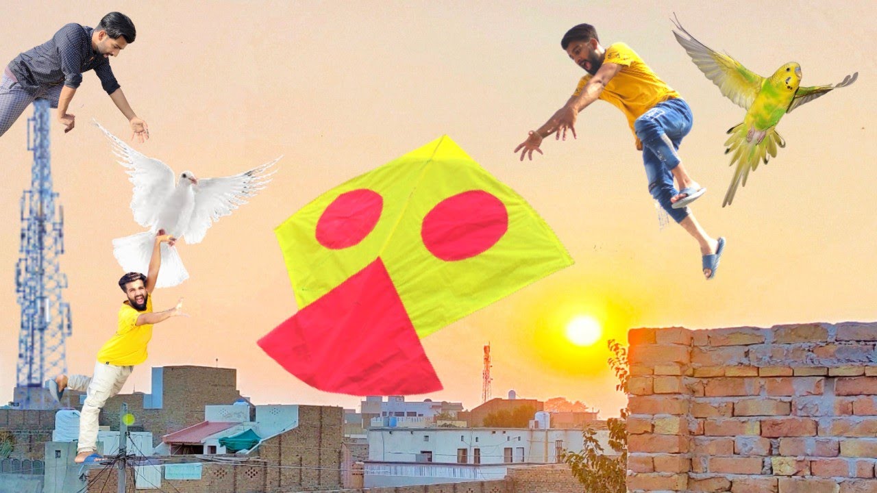 Kite Catch With Ahmad Kabooter Parrots YouTube