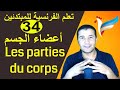 تعليم الفرنسية للمبتدئين #34 أعضاء الجسم | Les parties du corps | فرنشاوي