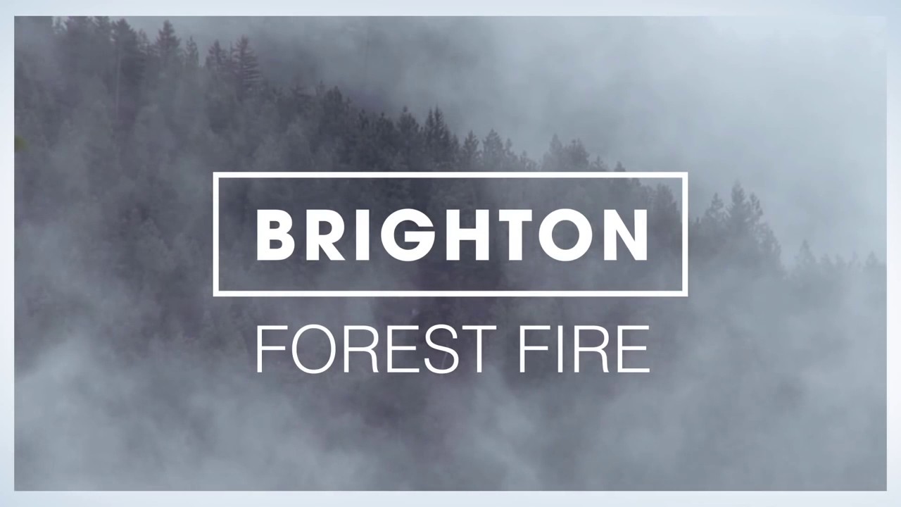 Forest Fire Brighton (with lyrics) YouTube