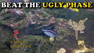 5 Tips To BEAT The UGLY PHASE Of Reef Tank | Hair, Brown and Diatom Algae In A New Marine Aquarium