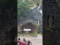 XIN MẸ THƯƠNG CỨU GIÚP CHÚNG CON