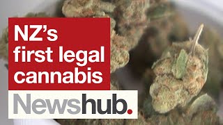 'Legal weed': Prescription cannabis hits NZ pharmacy shelves | Newshub