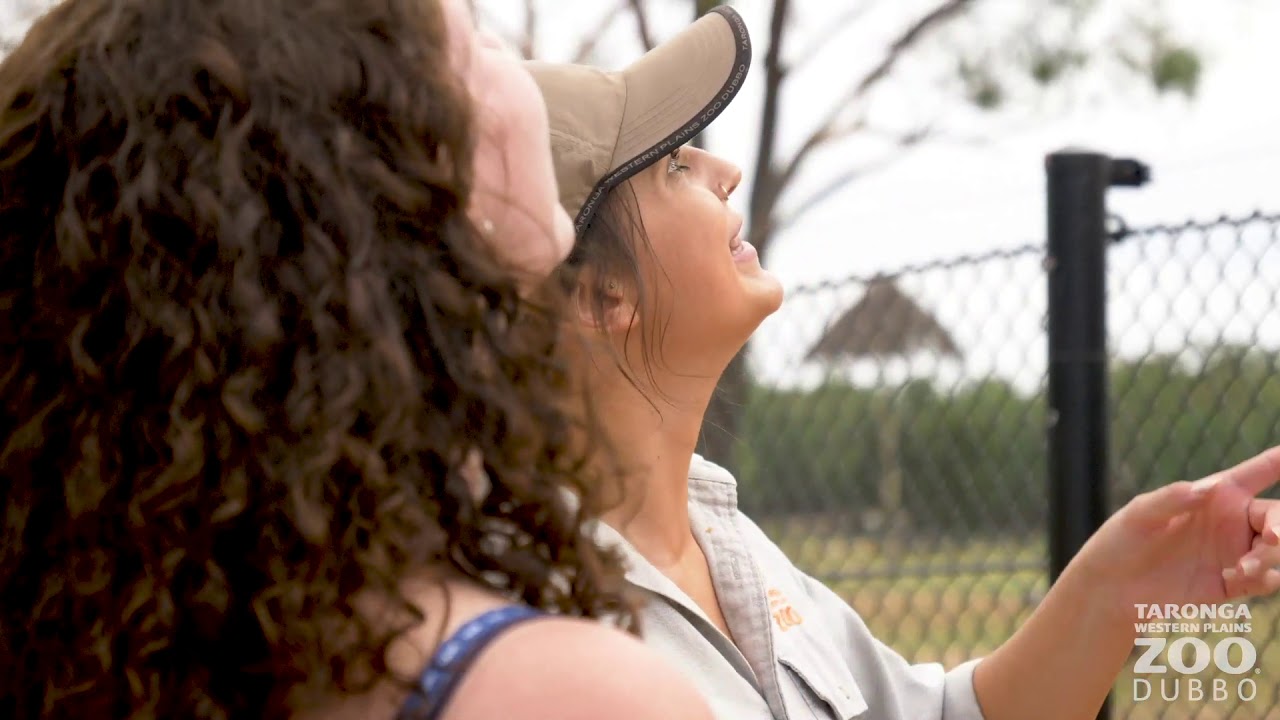 Dubbo Zoo Accommodation