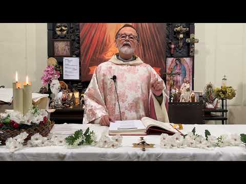 Misa Domingo 15