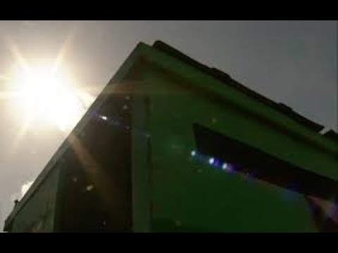 A Woman Heard Weird Noises Coming From A Dumpster  And When She Opened It, She Was Horrified