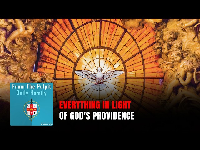 Daily IVE Homilies, May 11th, 2026 - Everything in Light of God's Providence