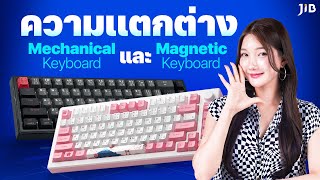 Which one should I choose: a mechanical keyboard or a magnetic keyboard? | JIB Review EP.429 screenshot 4