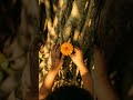 Application 2 - A child's offering | Bhagavad Gita Wisdom