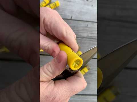 What’s Inside a 20 Gauge Shell