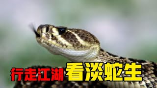 世界之最｜毒蛇界中毒牙最長的蛇 by 寵物世界 Pet World 52 views 2 years ago 8 minutes, 46 seconds