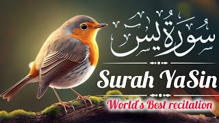 Surah Yasin(Yaseen) | Full With Arabic | Beautiful recitation| سورہ یس | Quran