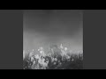 Full Envelop Amaranth Todd Hyperglitch Rmx 