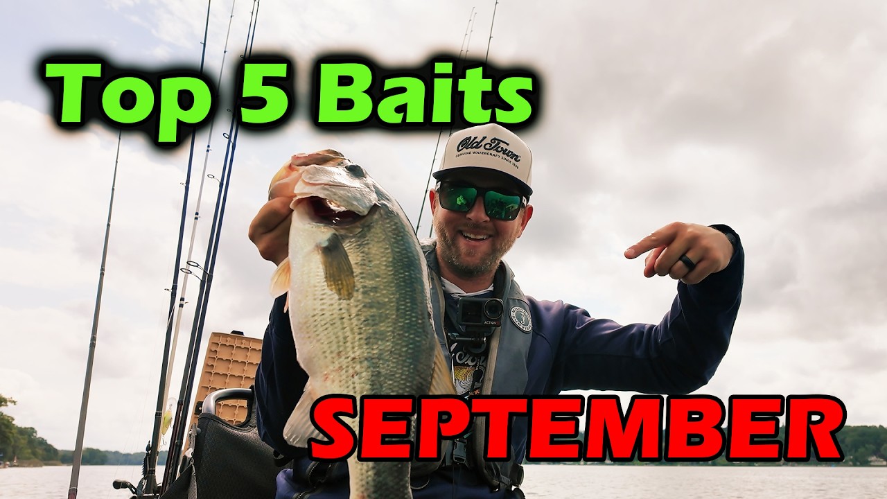 5 Baits that DESTROY Bass in September