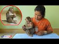 Poor Orphan Baby Monkey | Cute Sister Luna Welcome Younger Brother Monkey